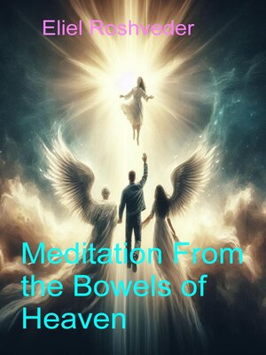 cover image of Meditation From the Bowels of Heaven